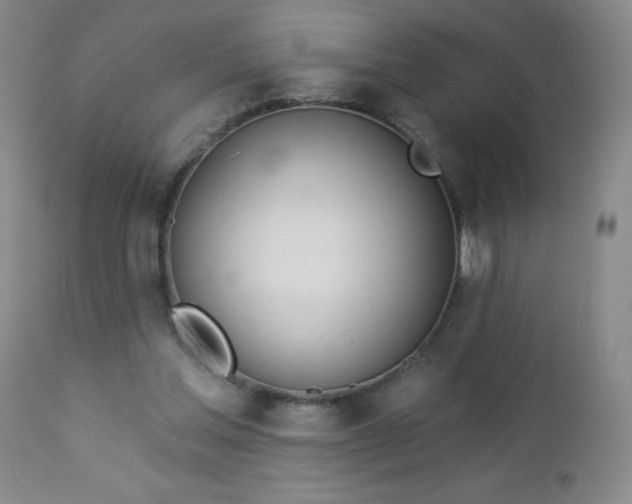 X0000112980205200909031116