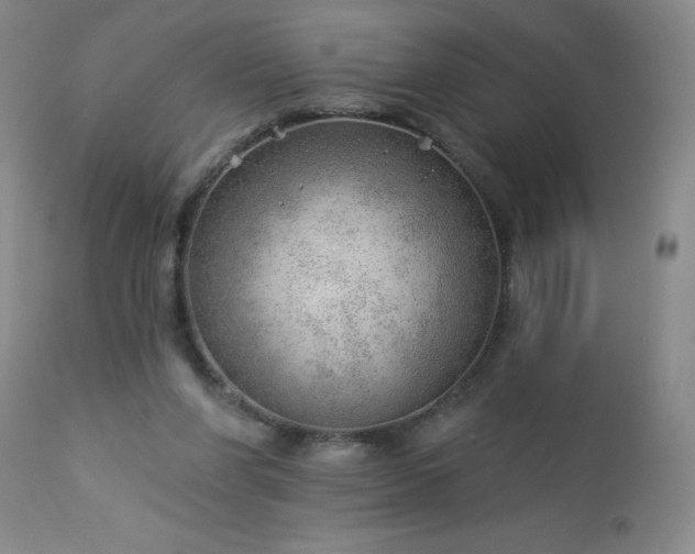 X0000112980206200909031116