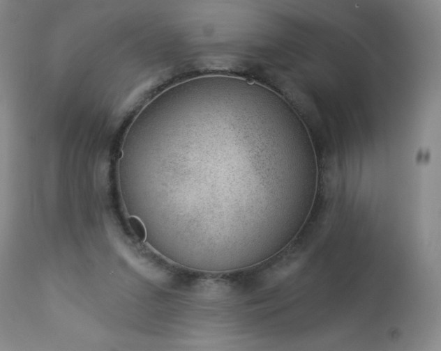 X0000112980207200909031116