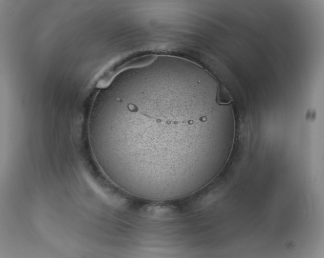 X0000112980208200909031116