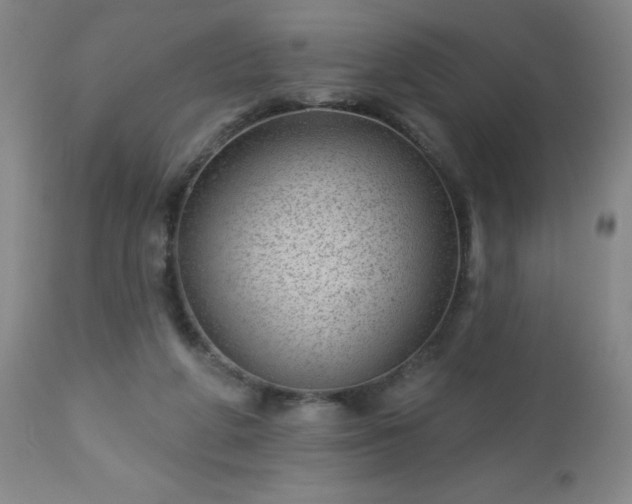 X0000112980210200909031116