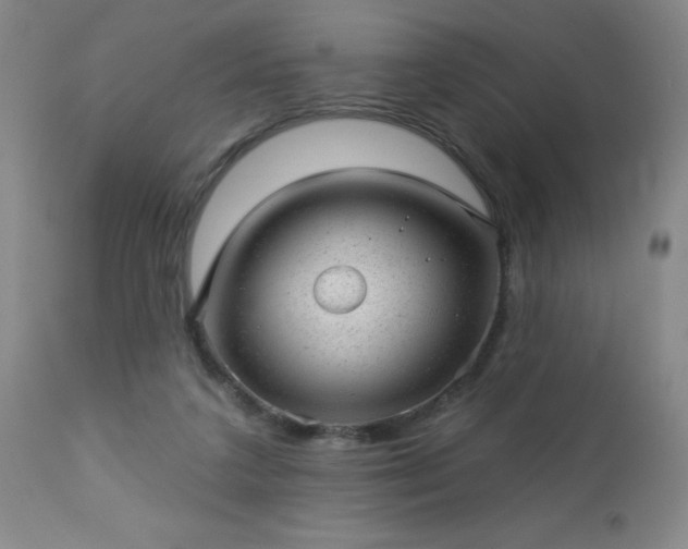 X0000112980211200909031116