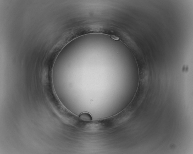 X0000112980213200909031116