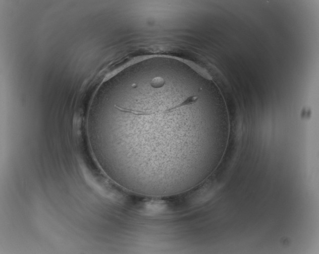 X0000112980214200909031116