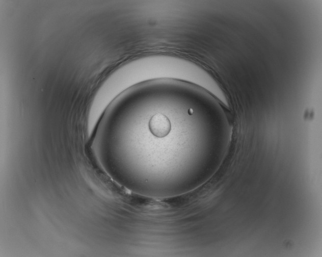 X0000112980215200909031116