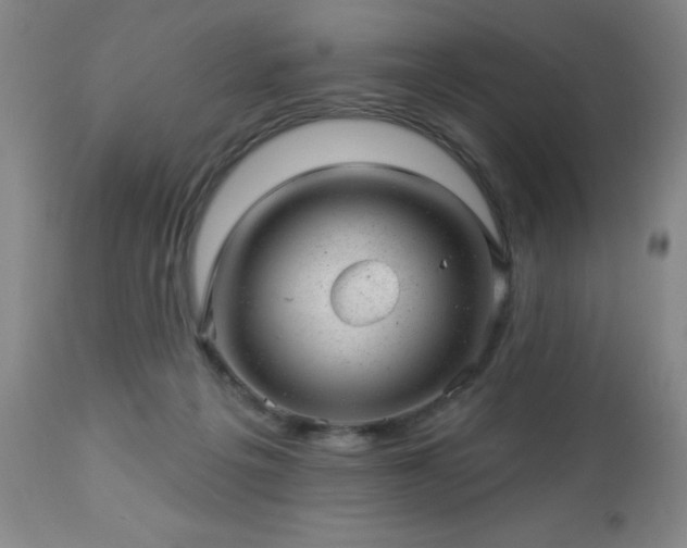 X0000112980217200909031116