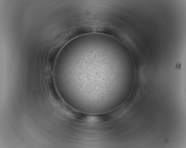 X0000112980218200909031116