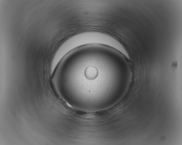 X0000112980219200909031116