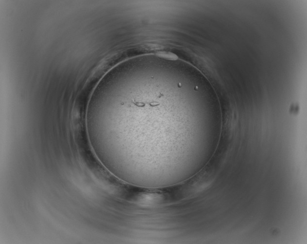 X0000112980220200909031116