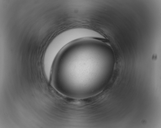 X0000112980221200909031116