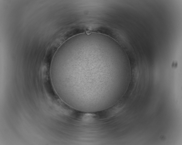 X0000112980222200909031116