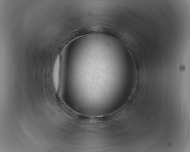 X0000112980223200909031116