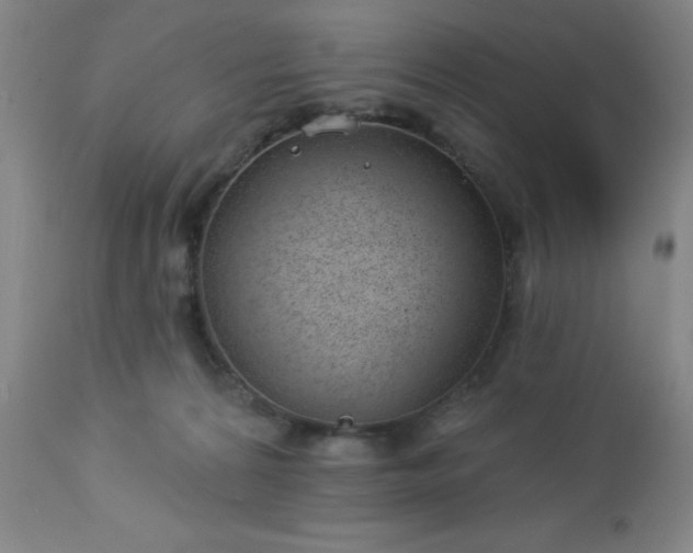 X0000112980224200909031116