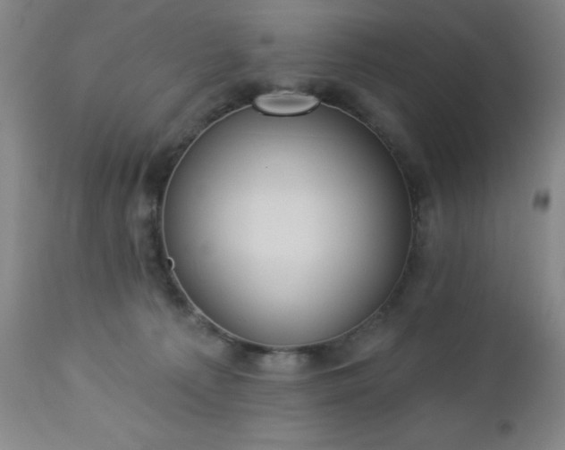 X0000112980225200909031116