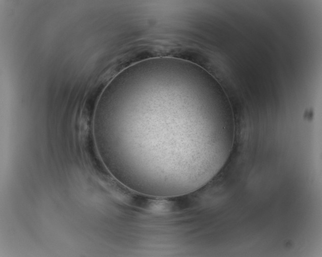 X0000112980226200909031116