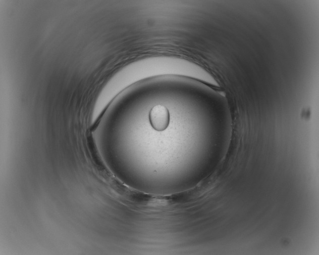 X0000112980227200909031116