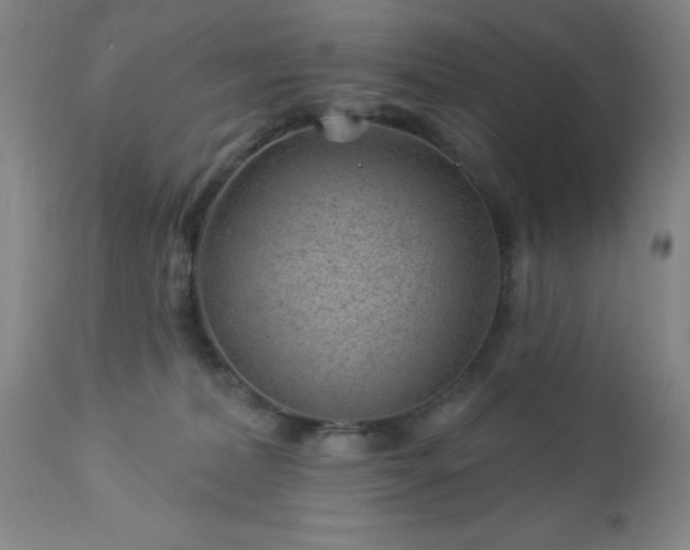 X0000112980228200909031116