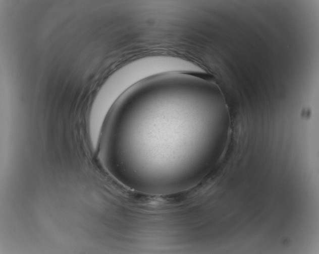 X0000112980229200909031116