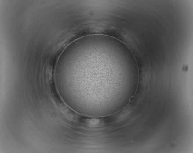 X0000112980230200909031116