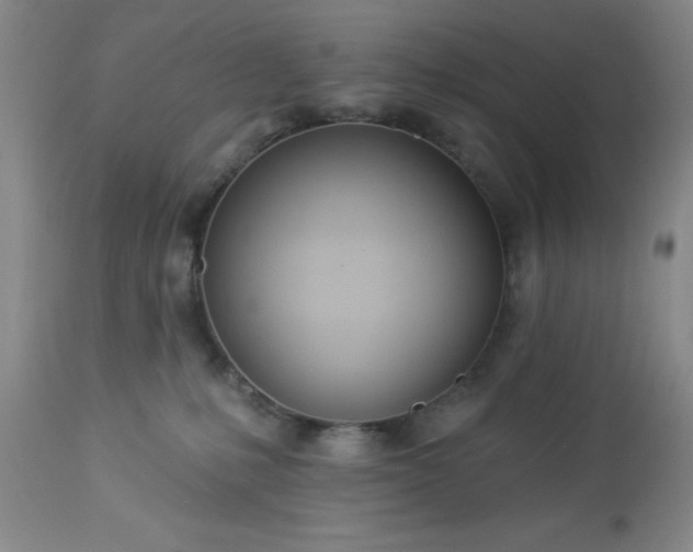 X0000112980231200909031116