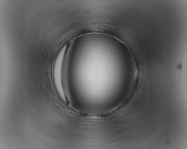 X0000112980233200909031116