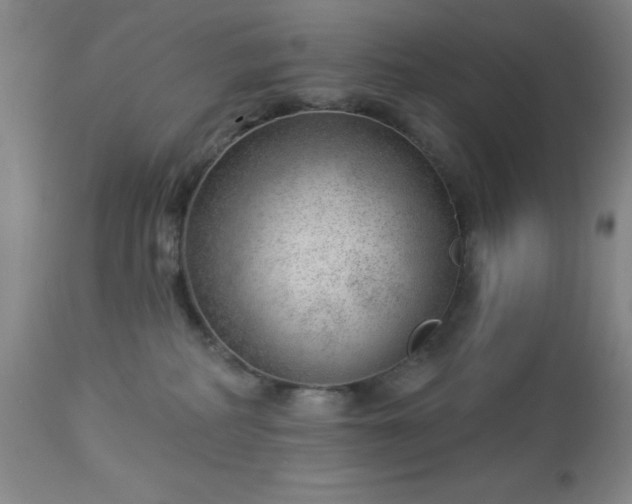 X0000112980234200909031116