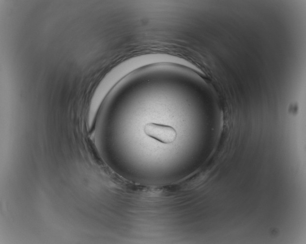 X0000112980235200909031116