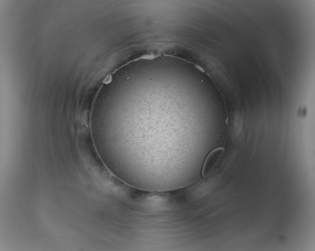 X0000112980236200909031116