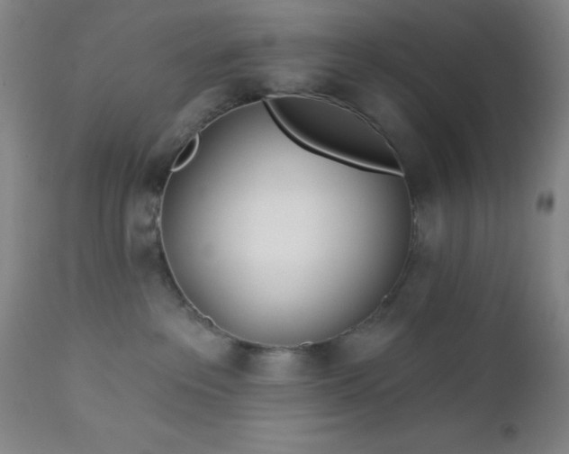 X0000112980237200909031116