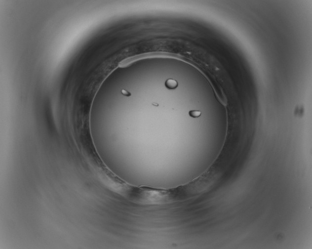 X0000112980239200909031116