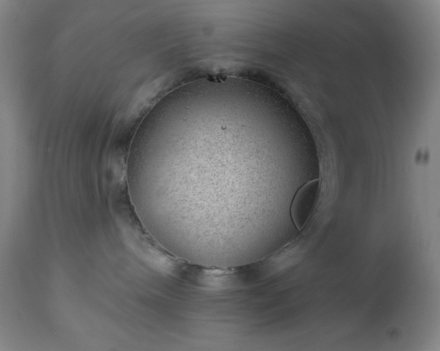 X0000112980240200909031116