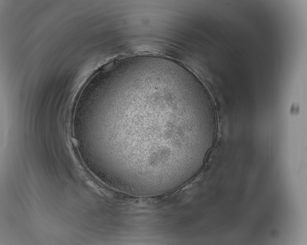 X0000112980241200909031115