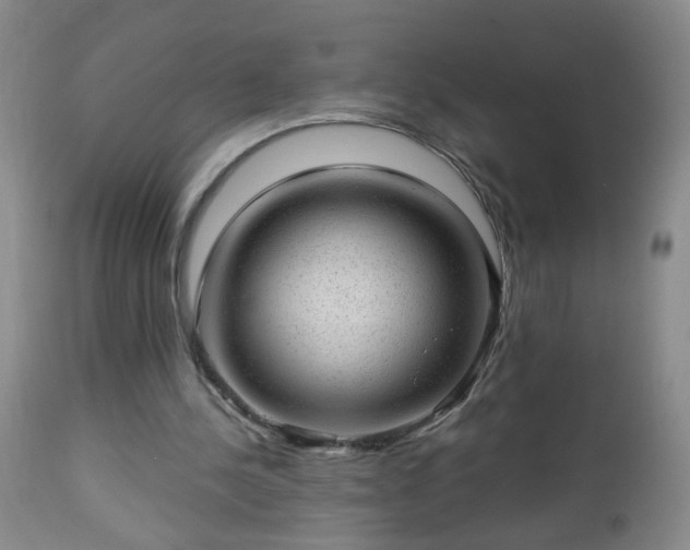 X0000112980244200909031115