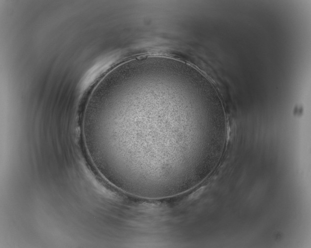 X0000112980245200909031115