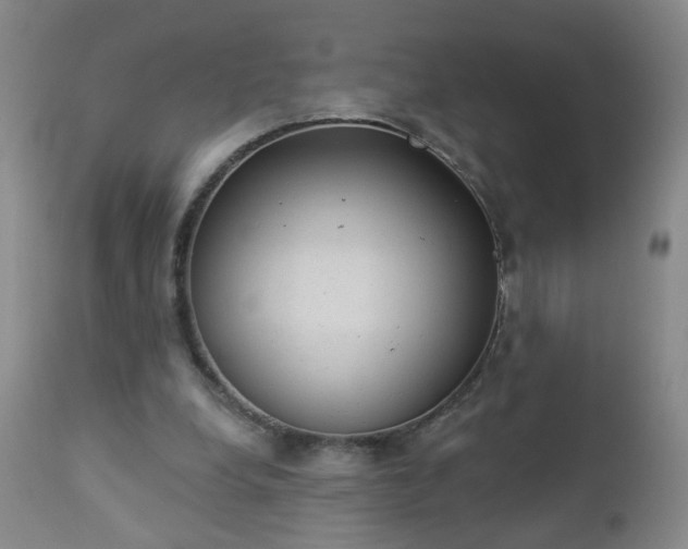 X0000112980248200909031115