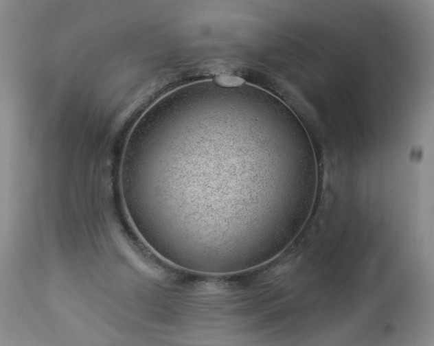 X0000112980250200909031115