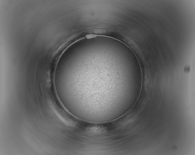 X0000112980251200909031115