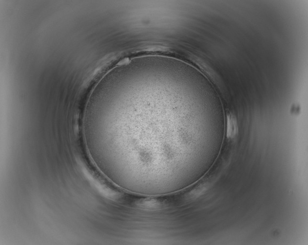 X0000112980253200909031115