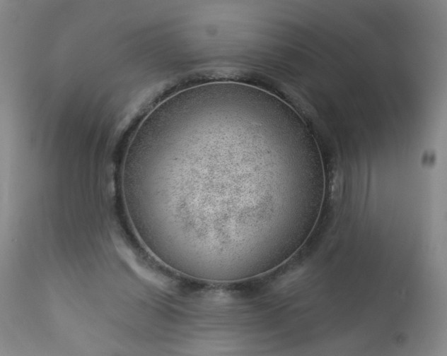 X0000112980254200909031115