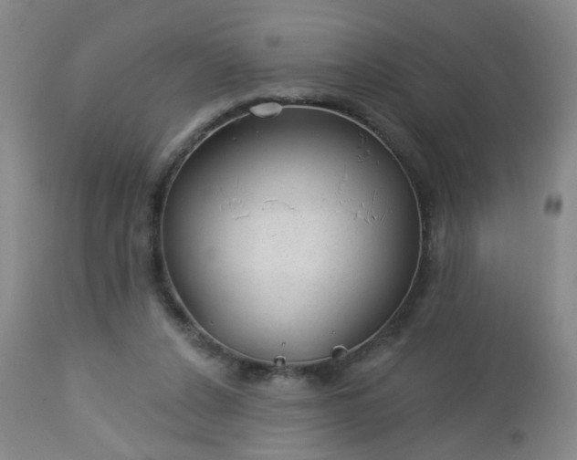 X0000112980256200909031115