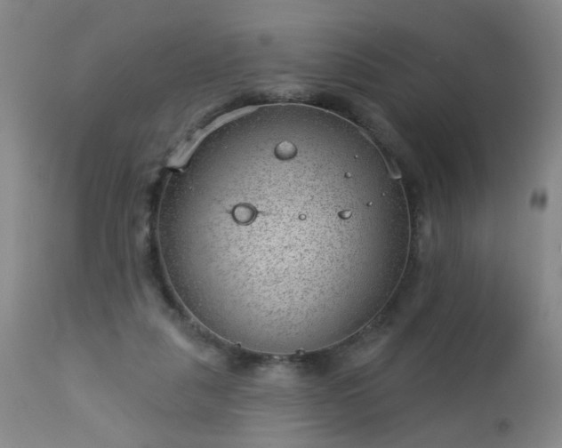 X0000112980259200909031115