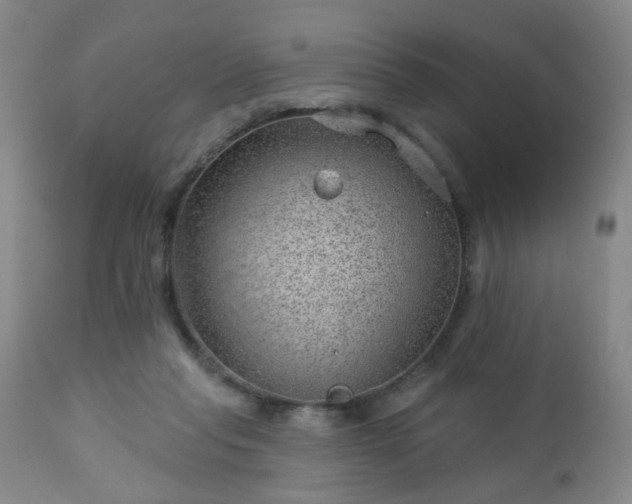 X0000112980261200909031115