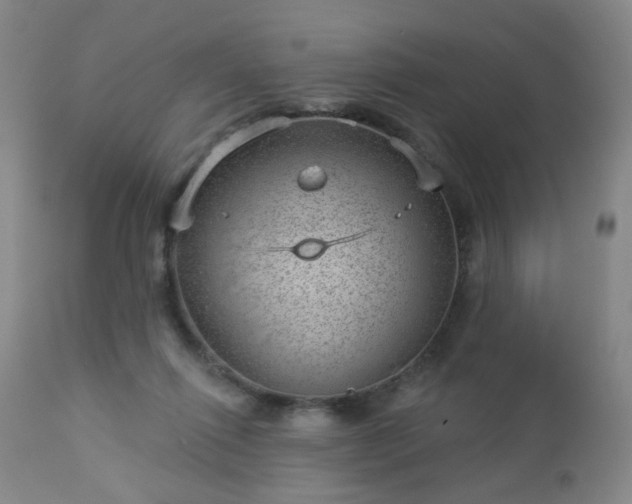 X0000112980262200909031115