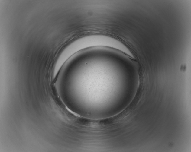 X0000112980264200909031116