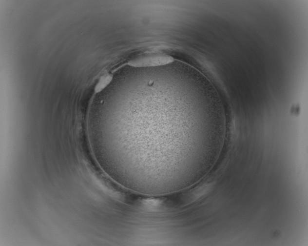 X0000112980265200909031116