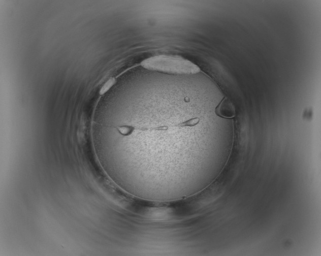 X0000112980266200909031116