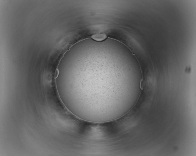 X0000112980268200909031116