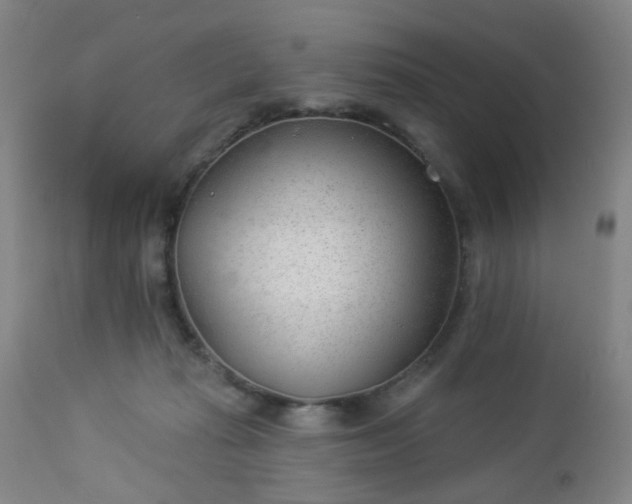 X0000112980269200909031116