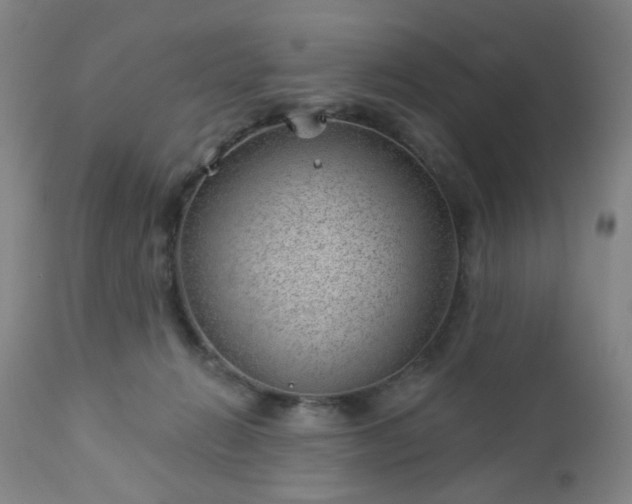 X0000112980270200909031116