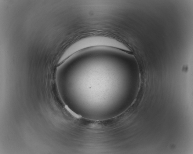 X0000112980272200909031116